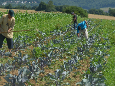 Les plans régionaux prennent du poids