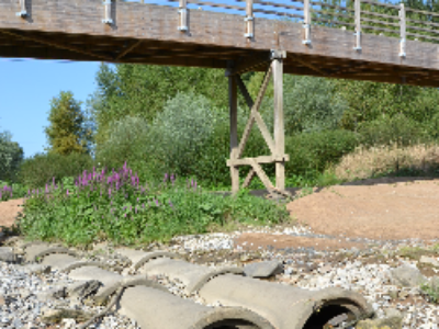 Restauration programmée pour le lit de la Loire