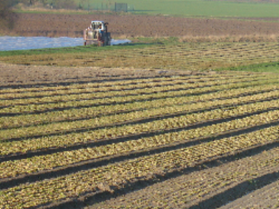 Le ministère de l’Agriculture dévoile la nouvelle version du plan Ecophyto