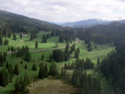COP21 : le Haut-Jura ausculte sa forêt