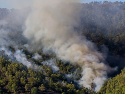 Incendies de forêts : un cadre légal à l’intervention des départements