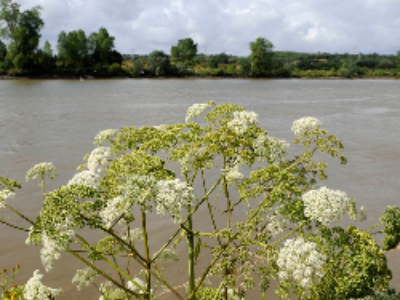 Loi biodiversité : espaces naturels sensibles et compensation écologique au menu des députés