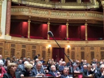 Le Sénat adopte le projet de loi relatif à la liberté de création, à l’architecture et au patrimoine