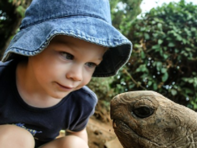 Comité national de la biodiversité : mode d’emploi