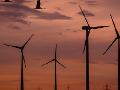 Éolien, solaire, biogaz : trois aides validées par l’Europe