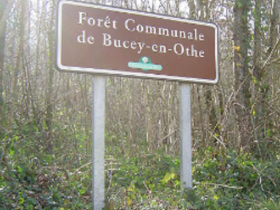 Forêts publiques : un cadre méthodologique pour l’aménagement forestier