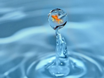 Qualité de l’eau potable : nouvelle condamnation d’un syndicat défaillant