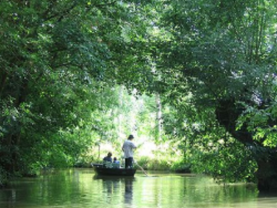 Espaces naturels sensibles et parcs naturels régionaux : un bilan en demi-teint