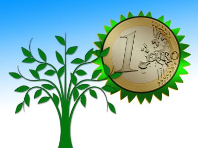 Ecologie : l’Assemblée adopte le budget 2019