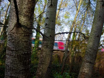 Petites lignes ferroviaires : “C’est l’arbre qui cache la forêt”, pour Patrick Jeantet (SNCF Réseau)