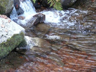 Gestion de l’eau : le gouvernement ouvre les vannes aux projets de territoire