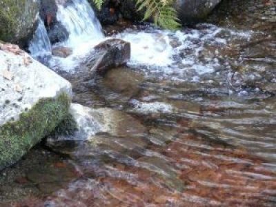 Gestion de l’eau : le gouvernement ouvre les vannes aux projets de territoire