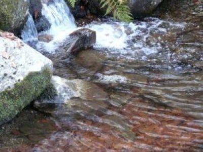 Eau potable : la directive européenne coule de source