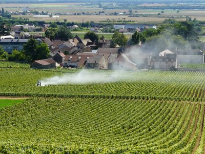 Fronde anti-pesticides : cinq villes veulent combler les trous dans la raquette de la loi Labbé