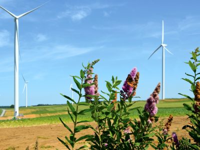Energies renouvelables : la crise n’explique pas à elle seule leur recul